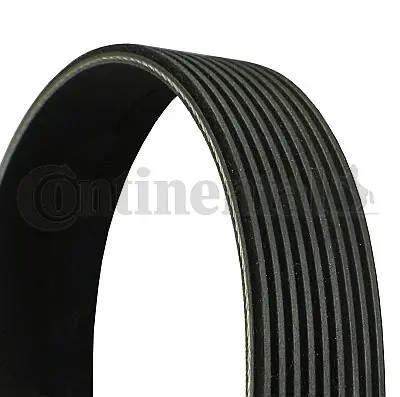 V-ribbed Belt